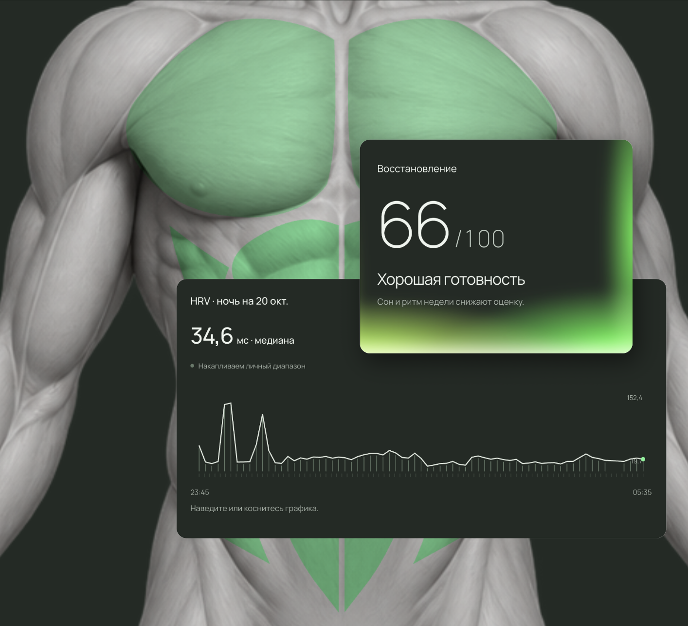 Open Health: восстановление, HRV и нагрузка на мышцы